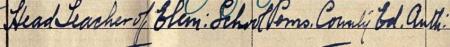 Mary S Young's 1911 census entry